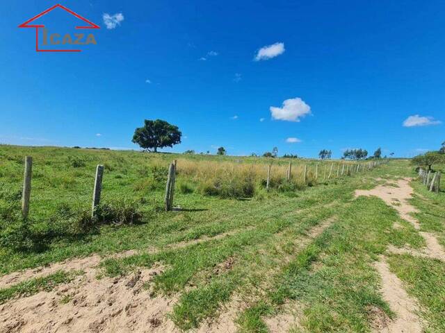 Fazenda para Venda em Araruama - 4