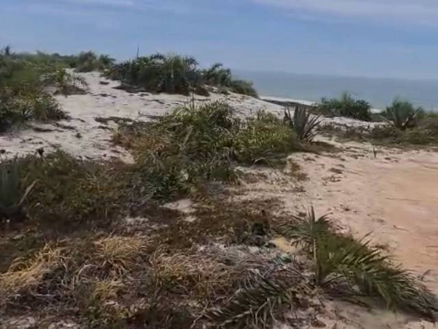 #1300 - Área para Venda em Araruama - RJ - 3