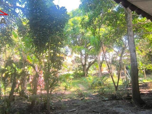 #1321 - Área para Venda em Araruama - RJ - 1